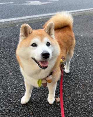 ニッコニコの笑顔!