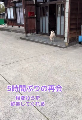 飼い主さんが帰宅したら…
