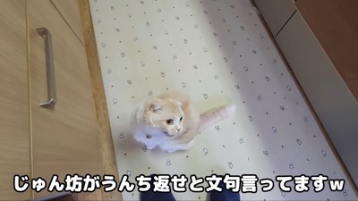 「うんち返して！」