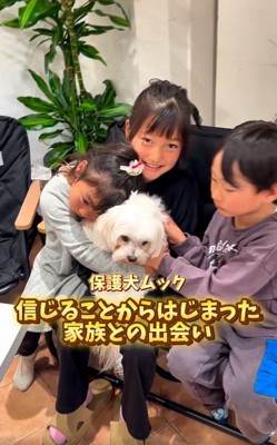 ムックくんとご家族