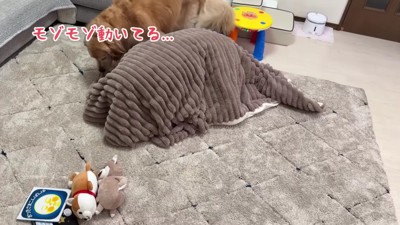 おからちゃんが気付いた！！