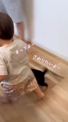 走り出す男の子についていく子犬