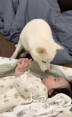 顔に近づく赤ちゃんの手