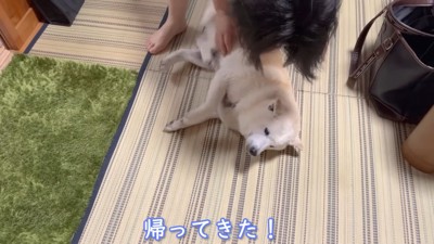 ついにお母さんが帰宅