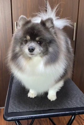 カットしたら痩せて見える?