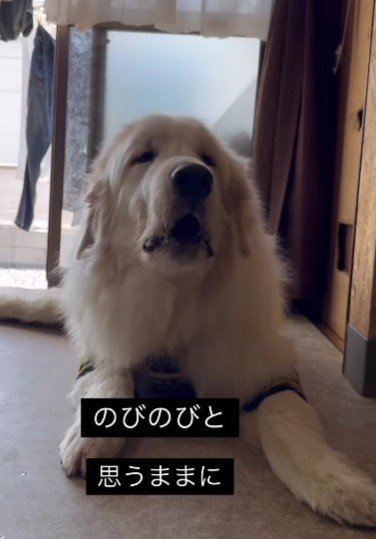 穏やかな表情に涙…