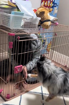 「ここは私の部屋だよ！！」