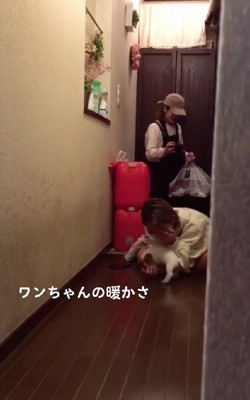 わんこの温かさも…