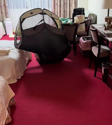 サークルが立ち上がり…