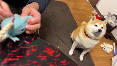 元の形に修復してみた