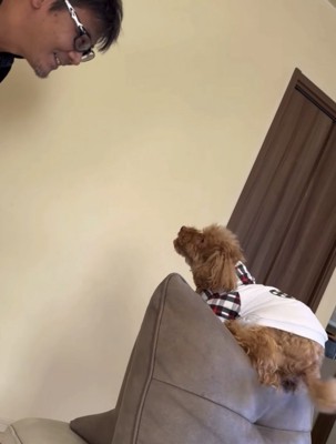 パパに必死に訴える犬2