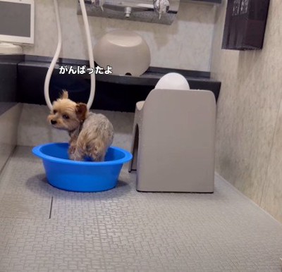 健気な姿に感動…