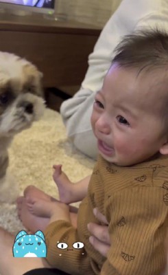赤ちゃんが泣いてる!!