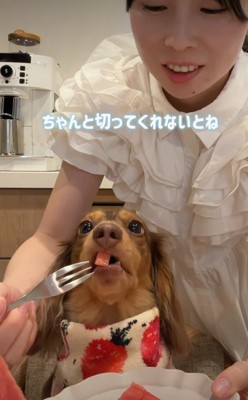 お上品にパクリ