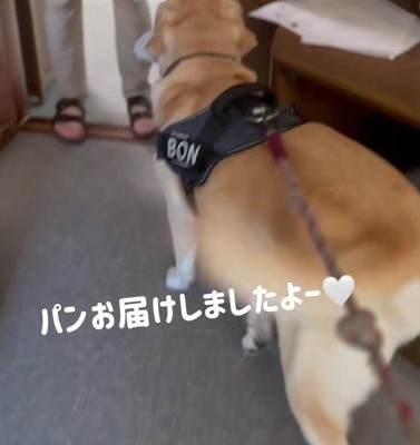 「パンのお届けでーす！」