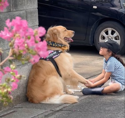 前足を揺らしながら歌ってあげる息子さん