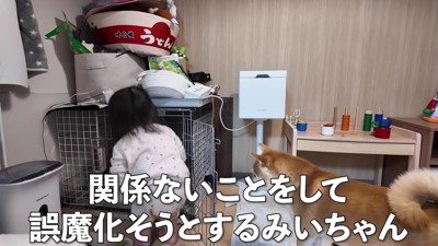 監視の目を散らそうと試みる