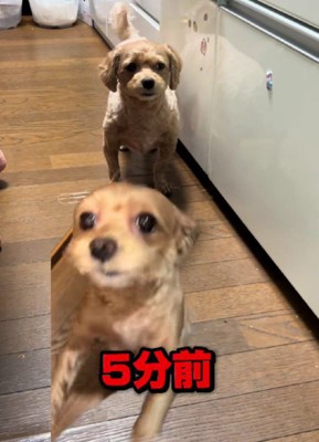 見事な無視…!!
