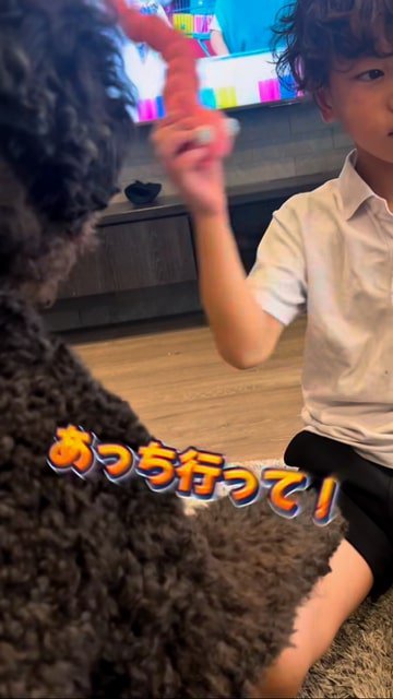 おもちゃを投げる男の子