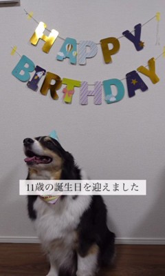 お誕生日おめでとう♡