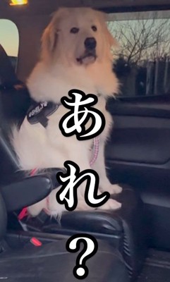 決意がゆらいだ…？