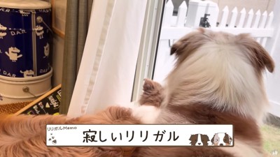 またすぐに会えるね♡