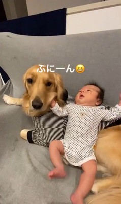 くららちゃんと赤ちゃん8