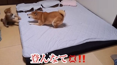 激おこのロックくん
