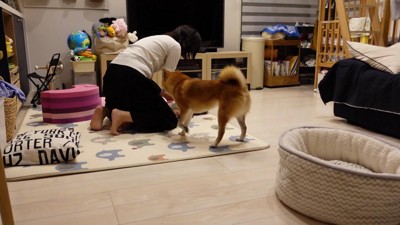 「食べちゃうぞー！」