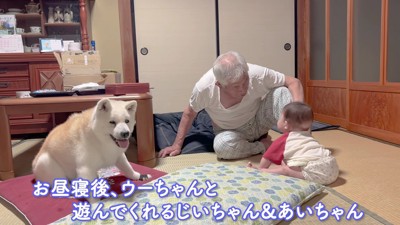 赤ちゃんと遊ぶことも