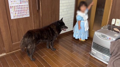 そろそろ出発の時間…