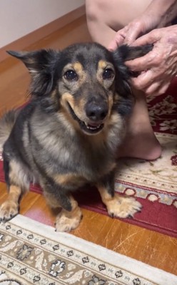 笑顔のマックくん