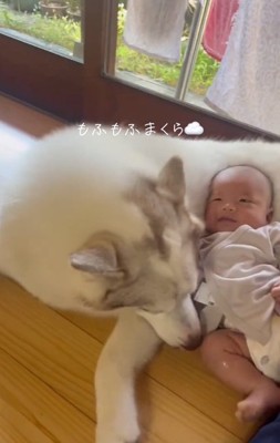 緋那子ちゃんと赤ちゃん2