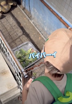 完全無視の亀さん