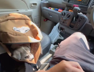 正式に家族になりました♡