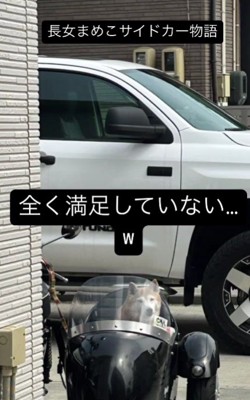 「まだ乗りたい…」