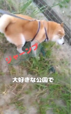 少しずつ体調に変化が…