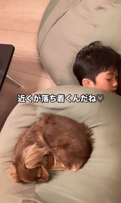 遊び疲れて寝るアムくんと男の子8