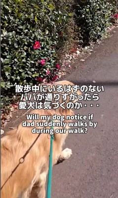 サンタくんがパパに気づくのか検証