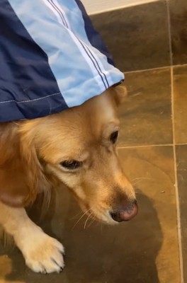 拗ねたならちゃん