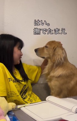 「撫でたまえ」