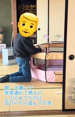 お父さんに撫でられるキャシーちゃん