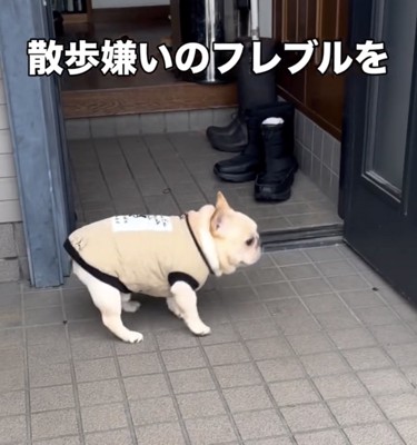その場で小さくピョンッ