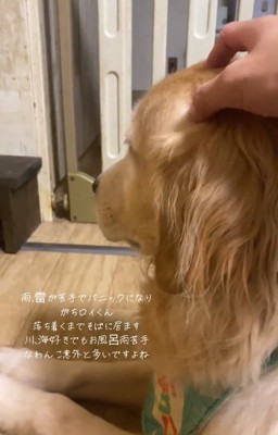 落ち着くロイくん