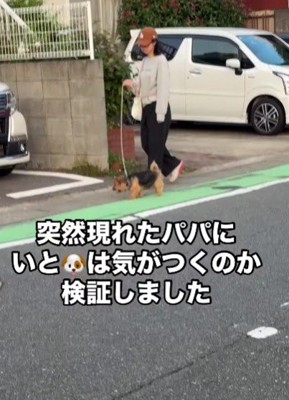 わんこにドッキリをしかけてみた