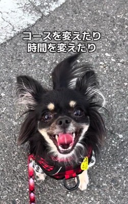 生後11か月になったころ…