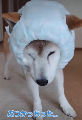 愛情を感じます♡