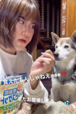 「食べていい？」と聞く飼い主さん