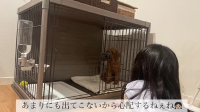 ケージの中だけが安全地帯