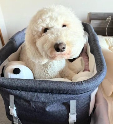 くつろぎはじめた♡